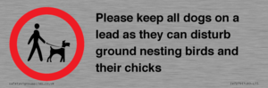 IV7279: Please keep all dogs on a lead as they can disturb ground nesting birds and their chicks