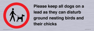 IV7279: Please keep all dogs on a lead as they can disturb ground nesting birds and their chicks
