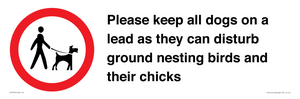 IV7279: Please keep all dogs on a lead as they can disturb ground nesting birds and their chicks