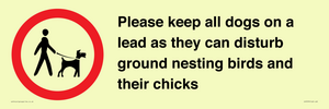 IV7279: Please keep all dogs on a lead as they can disturb ground nesting birds and their chicks