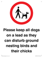 IV7279: Please keep all dogs on a lead as they can disturb ground nesting birds and their chicks
