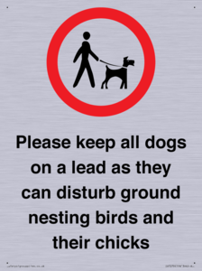 IV7279: Please keep all dogs on a lead as they can disturb ground nesting birds and their chicks