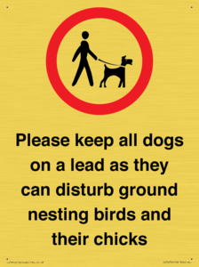 IV7279: Please keep all dogs on a lead as they can disturb ground nesting birds and their chicks