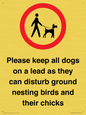 IV7279: Please keep all dogs on a lead as they can disturb ground nesting birds and their chicks