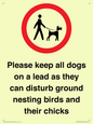 IV7279: Please keep all dogs on a lead as they can disturb ground nesting birds and their chicks