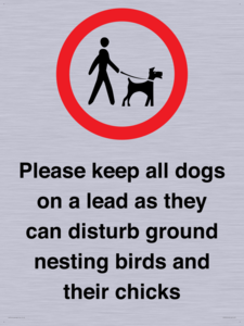 IV7279: Please keep all dogs on a lead as they can disturb ground nesting birds and their chicks