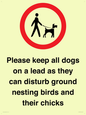 IV7279: Please keep all dogs on a lead as they can disturb ground nesting birds and their chicks