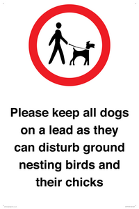 IV7279: Please keep all dogs on a lead as they can disturb ground nesting birds and their chicks