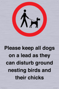 IV7279: Please keep all dogs on a lead as they can disturb ground nesting birds and their chicks