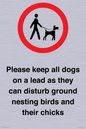 IV7279: Please keep all dogs on a lead as they can disturb ground nesting birds and their chicks
