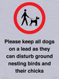 IV7279: Please keep all dogs on a lead as they can disturb ground nesting birds and their chicks