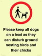 IV7279: Please keep all dogs on a lead as they can disturb ground nesting birds and their chicks