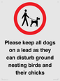 IV7279: Please keep all dogs on a lead as they can disturb ground nesting birds and their chicks