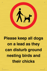 IV7279: Please keep all dogs on a lead as they can disturb ground nesting birds and their chicks