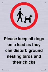 IV7279: Please keep all dogs on a lead as they can disturb ground nesting birds and their chicks