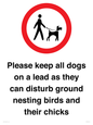 IV7279: Please keep all dogs on a lead as they can disturb ground nesting birds and their chicks