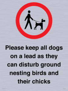 IV7279: Please keep all dogs on a lead as they can disturb ground nesting birds and their chicks