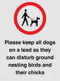 IV7279: Please keep all dogs on a lead as they can disturb ground nesting birds and their chicks