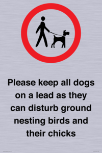 IV7279: Please keep all dogs on a lead as they can disturb ground nesting birds and their chicks