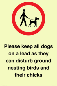 IV7279: Please keep all dogs on a lead as they can disturb ground nesting birds and their chicks