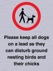 IV7279: Please keep all dogs on a lead as they can disturb ground nesting birds and their chicks