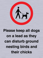 IV7279: Please keep all dogs on a lead as they can disturb ground nesting birds and their chicks