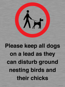 IV7279: Please keep all dogs on a lead as they can disturb ground nesting birds and their chicks