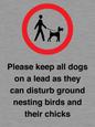 IV7279: Please keep all dogs on a lead as they can disturb ground nesting birds and their chicks