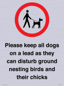 IV7279: Please keep all dogs on a lead as they can disturb ground nesting birds and their chicks