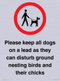IV7279: Please keep all dogs on a lead as they can disturb ground nesting birds and their chicks