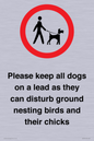 IV7279: Please keep all dogs on a lead as they can disturb ground nesting birds and their chicks