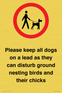 IV7279: Please keep all dogs on a lead as they can disturb ground nesting birds and their chicks
