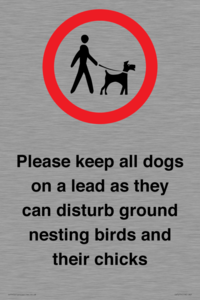IV7279: Please keep all dogs on a lead as they can disturb ground nesting birds and their chicks