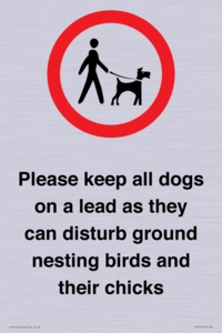 IV7279: Please keep all dogs on a lead as they can disturb ground nesting birds and their chicks