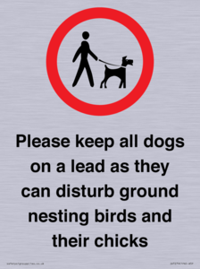 IV7279: Please keep all dogs on a lead as they can disturb ground nesting birds and their chicks