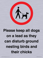 IV7279: Please keep all dogs on a lead as they can disturb ground nesting birds and their chicks