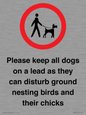 IV7279: Please keep all dogs on a lead as they can disturb ground nesting birds and their chicks