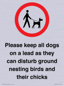 IV7279: Please keep all dogs on a lead as they can disturb ground nesting birds and their chicks