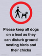 IV7279: Please keep all dogs on a lead as they can disturb ground nesting birds and their chicks