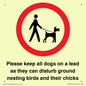IV7279: Please keep all dogs on a lead as they can disturb ground nesting birds and their chicks
