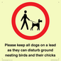 IV7279: Please keep all dogs on a lead as they can disturb ground nesting birds and their chicks
