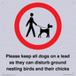 IV7279: Please keep all dogs on a lead as they can disturb ground nesting birds and their chicks