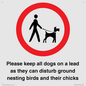 IV7279: Please keep all dogs on a lead as they can disturb ground nesting birds and their chicks