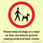 IV7279: Please keep all dogs on a lead as they can disturb ground nesting birds and their chicks