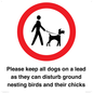 IV7279: Please keep all dogs on a lead as they can disturb ground nesting birds and their chicks