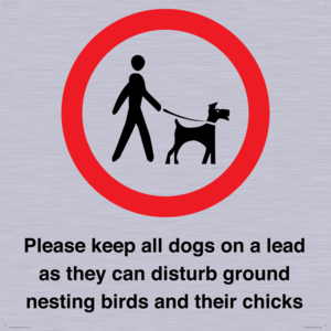 IV7279: Please keep all dogs on a lead as they can disturb ground nesting birds and their chicks