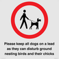 IV7279: Please keep all dogs on a lead as they can disturb ground nesting birds and their chicks