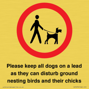 IV7279: Please keep all dogs on a lead as they can disturb ground nesting birds and their chicks
