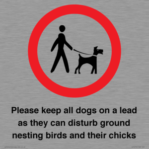 IV7279: Please keep all dogs on a lead as they can disturb ground nesting birds and their chicks