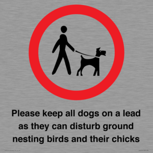 IV7279: Please keep all dogs on a lead as they can disturb ground nesting birds and their chicks